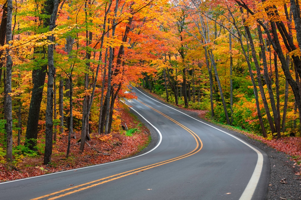 Places to See Fall Foliage in Mid-Michigan this year near Bay City