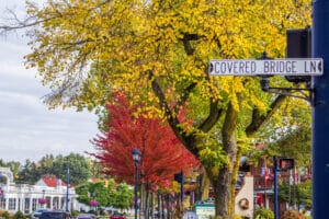 A road sign for Cover Bridge Lane and fall foliage. If you are looking for what to do in Frankenmuth, make sure to see the Holz Brucke Bridge.
