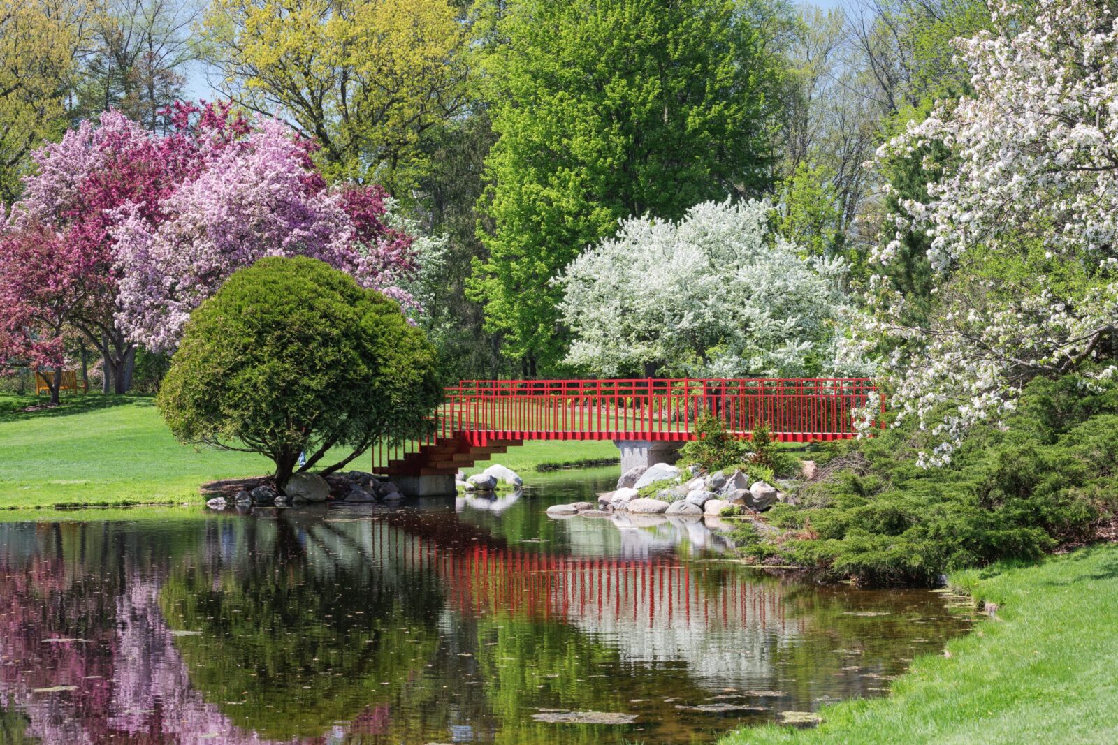 Your Ultimate Guide to Dow Gardens this Spring 1 Footbridges and Spring Blossoms at Dow Gardens, Midland, Michigan