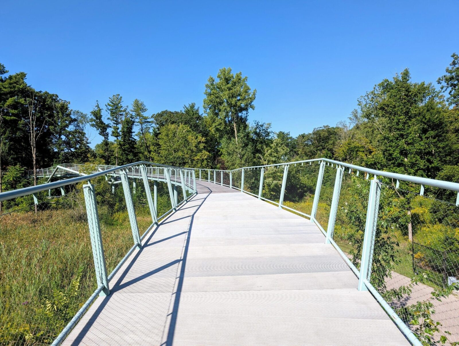 Dow Gardens Canopy Walk in Midland Michigan